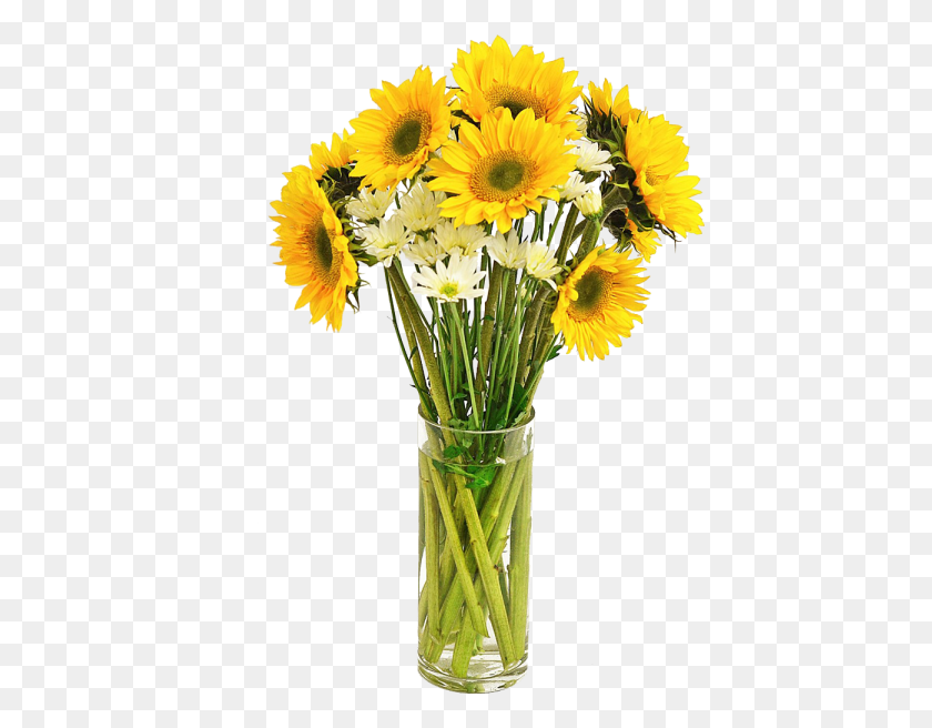 434x596 Transparent Sunflower On Boots, Plant, Flower, Blossom HD PNG Download
