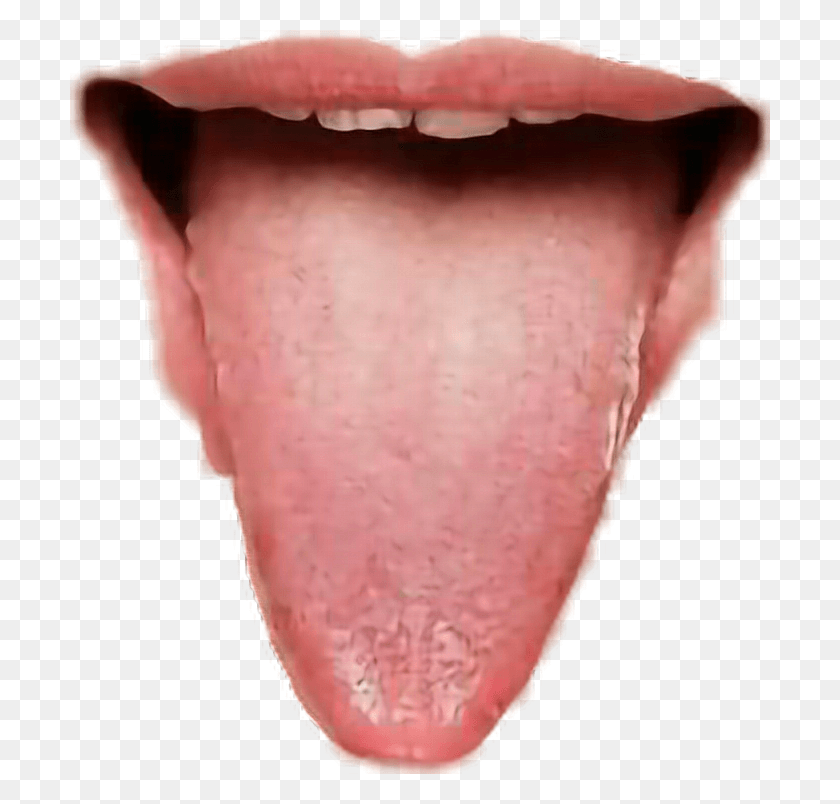 700x744 Transparent Tongue Ring Tongue, Mouth, Lip, Person HD PNG Download