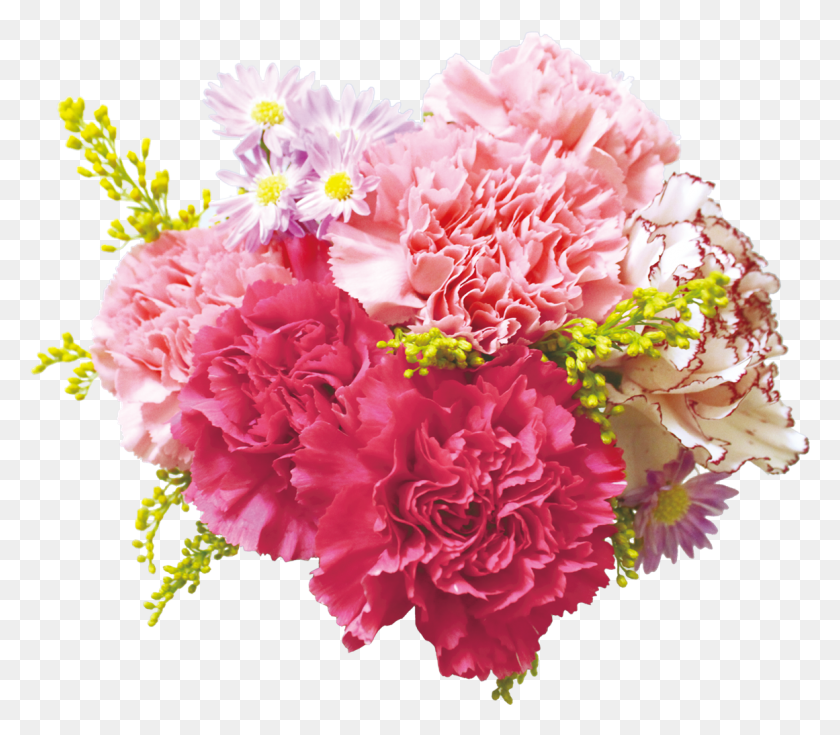 1161x1005 Transparent Transparent Background Flower, Plant, Blossom, Carnation HD PNG Download