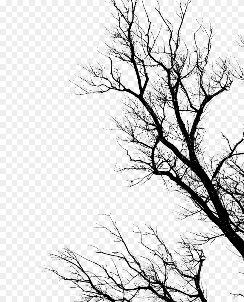 1024x1268 Transparent Tree Trunk Dead By Daylight Transparent, Gray PNG