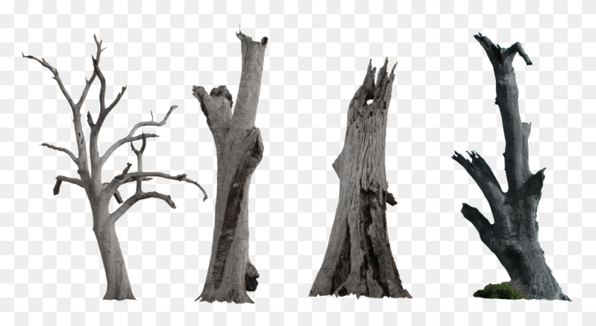 969x497 Transparent Trunk Clipart Forest Dry Tree, Wood, Tree Stump, Plant HD PNG Download