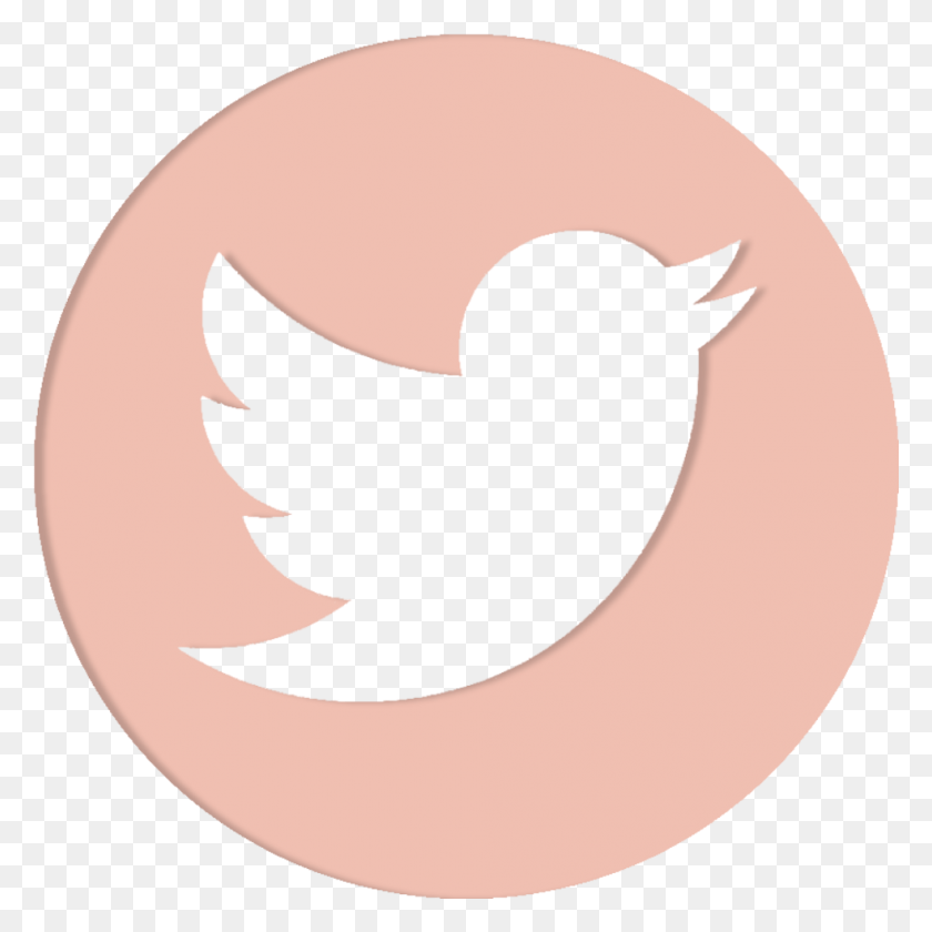 983x983 Прозрачный Логотип Twitter Значок Twitter Красный Круг, Логотип, Символ, Товарный Знак Hd Png Скачать