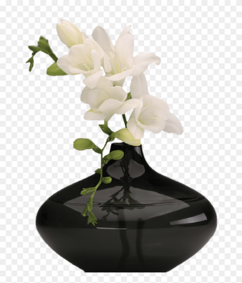 675x923 Transparent Vase Clipart Transparent Flower Vase, Plant, Blossom, Jar HD PNG Download
