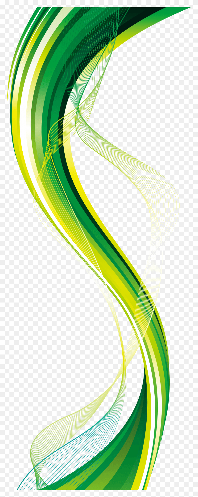 1501x3933 Transparent Vector Images Background Green Vector, Clothing, Apparel, Plant HD PNG Download