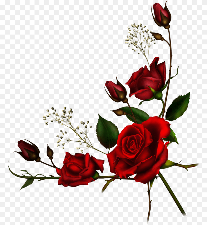 782x912 Vine Border Clipart Red Roses Border, Flower, Flower Arrangement, Flower Bouquet, Plant Transparent PNG