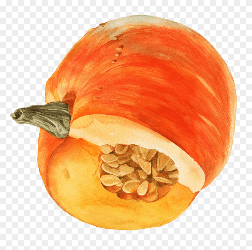872x864 Transparent Watercolor Pumpkin Pumpkin, Plant, Fungus, Vegetable HD PNG Download