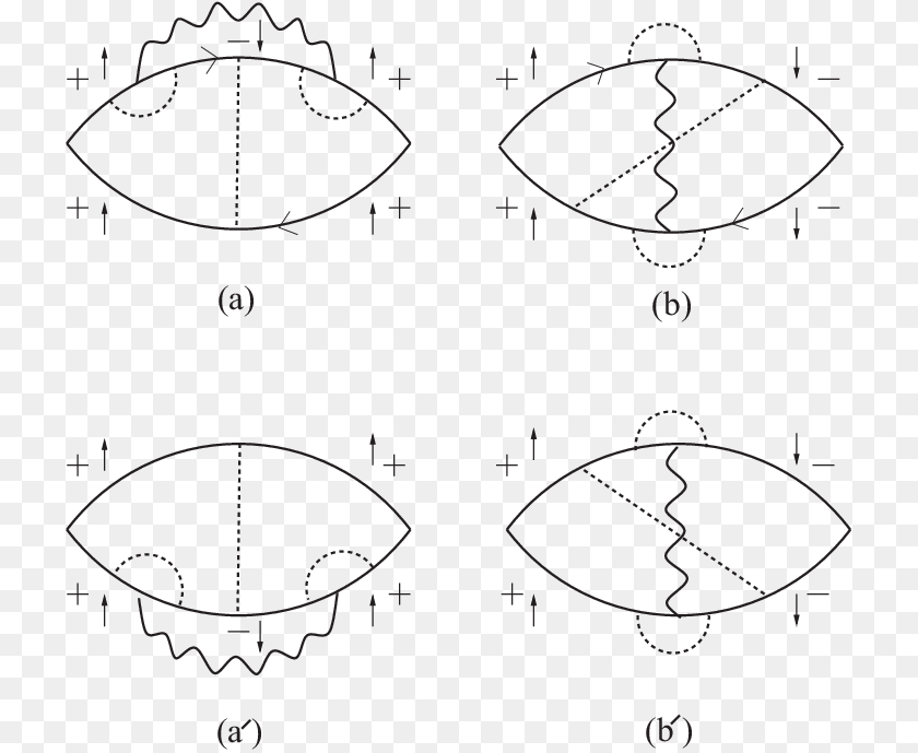 Transparent Wavy Line Drawing, Animal, Clam, Food, Invertebrate Clipart PNG
