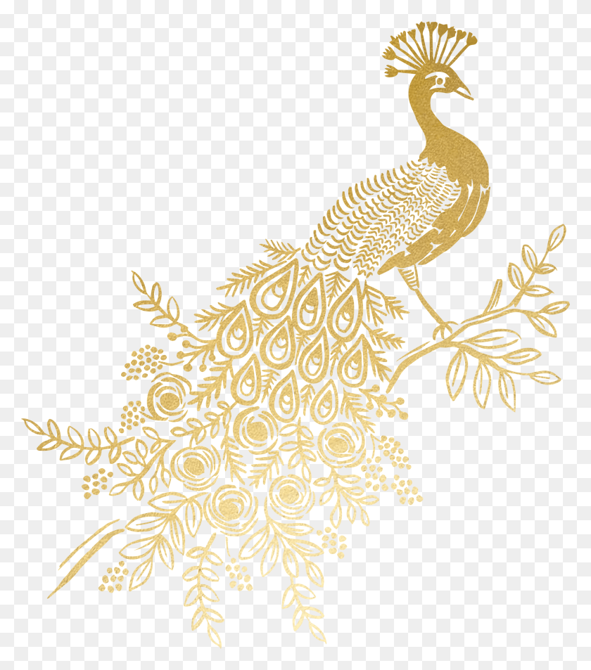 2015x2309 Transparent Weed Joint Clipart Golden Peacock Feather Transparent Background, Bird, Animal, Pattern HD PNG Download