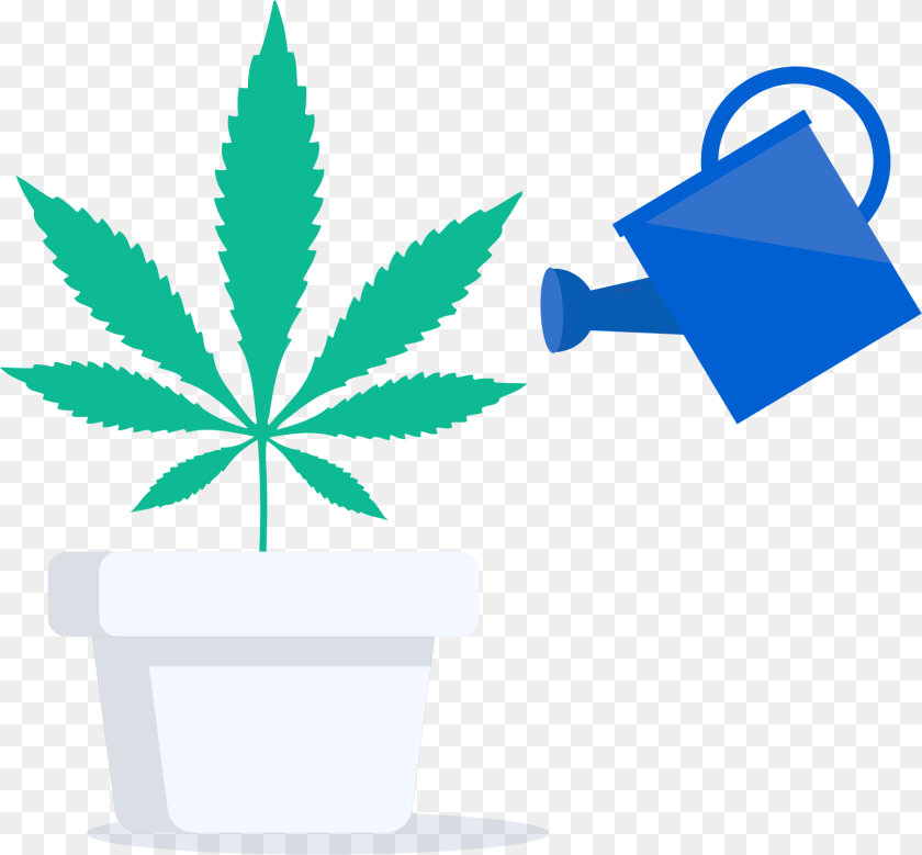 1550x1438 Transparent Weed Symbol Marijuana Leaf, Plant Sticker PNG