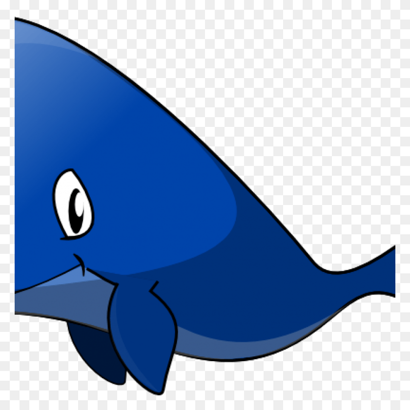 1024x1024 Transparent Whale Little Cartoon Whales, Shark, Sea Life, Fish HD PNG Download