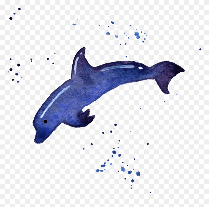 2852x2822 Transparent Whale Watercolor Watercolor Sea Animals Transparent, Sea Life, Animal, Aquatic HD PNG Download