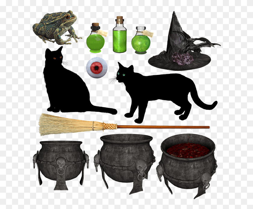 632x634 Transparent Witch Cauldron Clipart Cauldron, Turtle, Reptile, Sea Life HD PNG Download