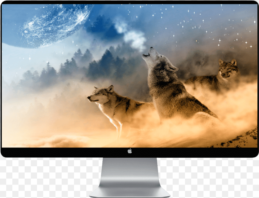 1001x766 Transparent Wolf Howling Clipart Wolf Howl Galaxy, Screen, Monitor, Computer Hardware, Electronics Sticker PNG