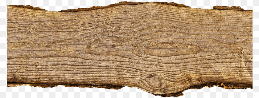 Transparent Wood Board, Lumber, Plant, Tree, Tree Trunk PNG