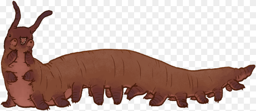 1000x433 Worms Giant Onychophora, Cartoon, Person, Face, Head Transparent PNG