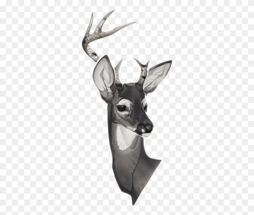 303x651 Transparentsticker Blg Deer, Wildlife, Animal, Antelope HD PNG Download