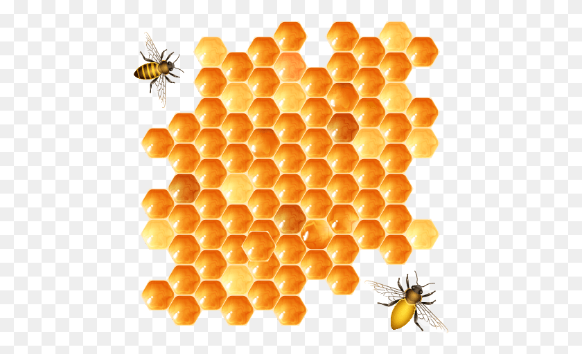 455x452 Transprent Free, Honey Bee, Bee, Insect HD PNG Download