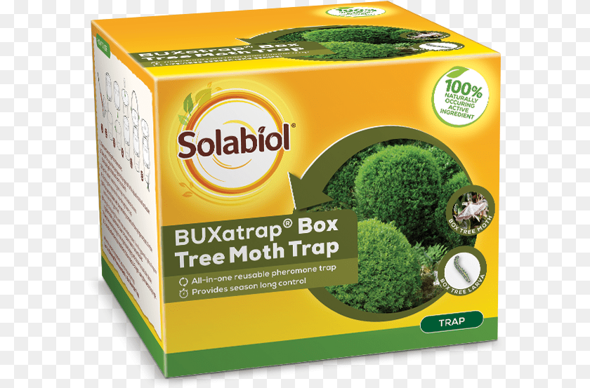 Trap, Herbal, Herbs, Plant, Beverage Clipart PNG