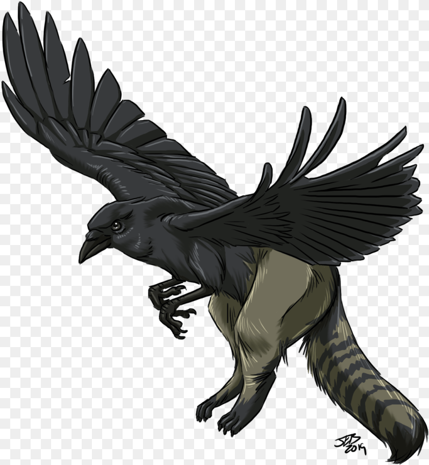 Trash Gryphons, Animal, Bird, Blackbird PNG