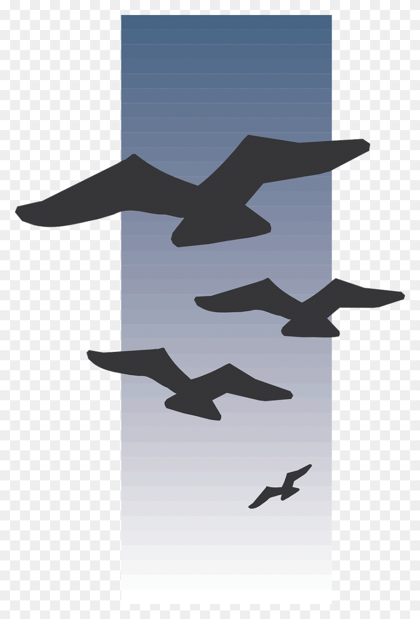 848x1280 Aves De Viaje Volando Siluetas Alas Negras Dibujar Un Pájaro En La Distancia, Cruz, Símbolo, Hacha Hd Png