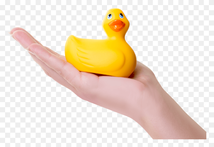 807x534 Pato Png / Pato Png