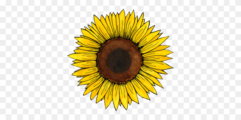 373x360 Travel Vol Ii Aesthetic Sunflower Sticker, Plant, Flower, Blossom HD PNG Download