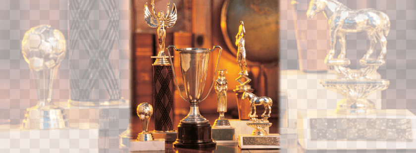 980x360 Treasure Island Trophies Amp Engraving Trophy, Animal, Mammal, Horse, Person Transparent PNG