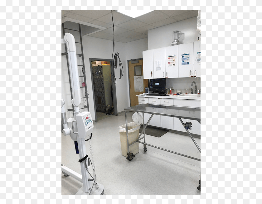 447x595 Treatment Room At Bolton Animal Hospital In Albuquerque Floor, Indoors, Interior Design, Monitor Descargar Hd Png