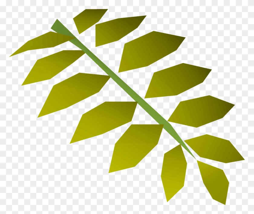 1200x1001 Дерево, Лист, Растение, Папоротник Hd Png Скачать