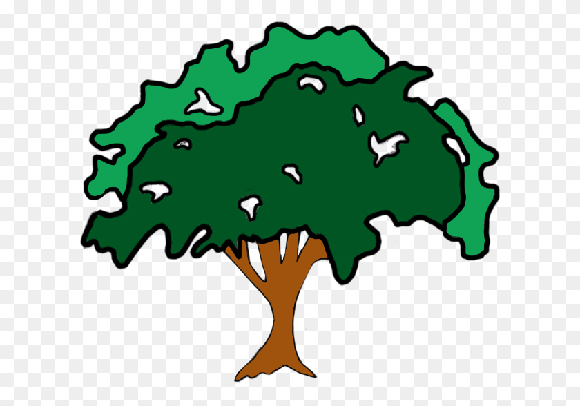 609x528 Дерево, Растение, Растительность, Тропический Лес Hd Png Скачать