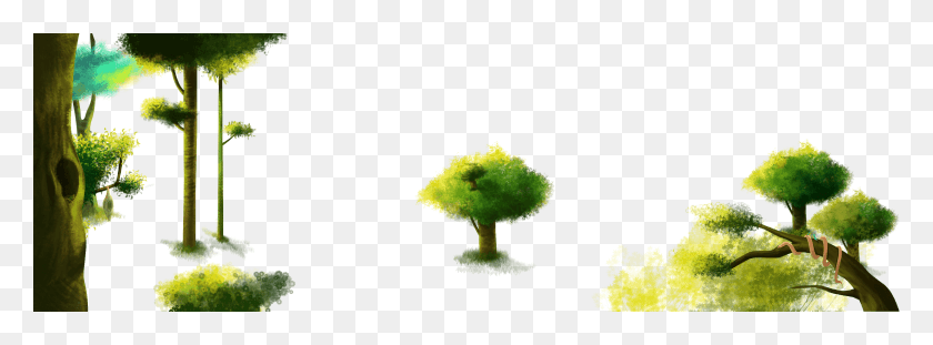 3229x1040 Tree, Green, Vegetation, Plant HD PNG Download