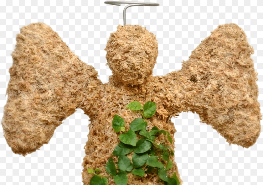 Tree, Accessories, Leaf, Plant, Rock PNG