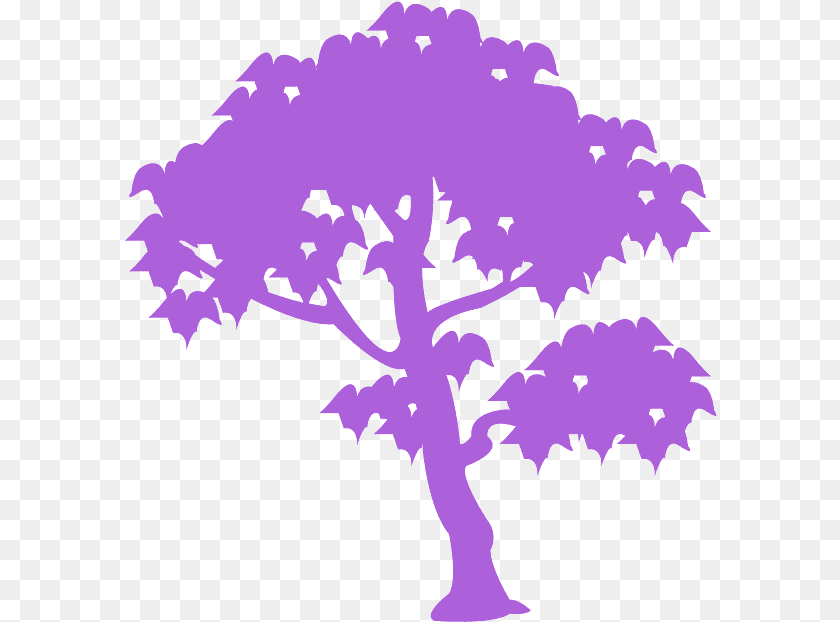 Tree, Leaf, Plant, Oak, Sycamore Clipart PNG