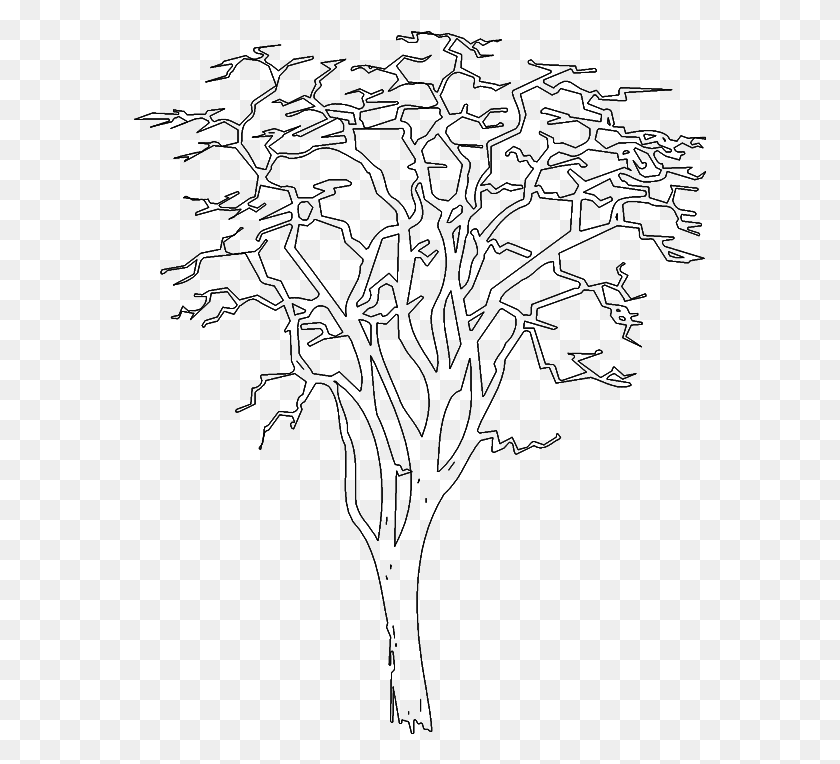 573x704 Tree 999 Elevation, Gray, World Of Warcraft HD PNG Download