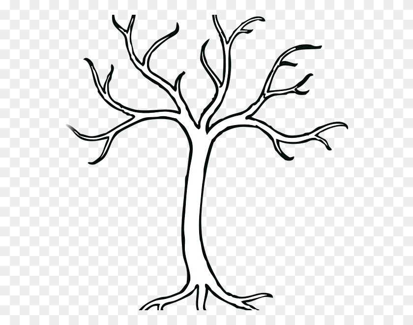 576x600 Tree And Branches Bare Tree Clip Art, Plant, Root HD PNG Download