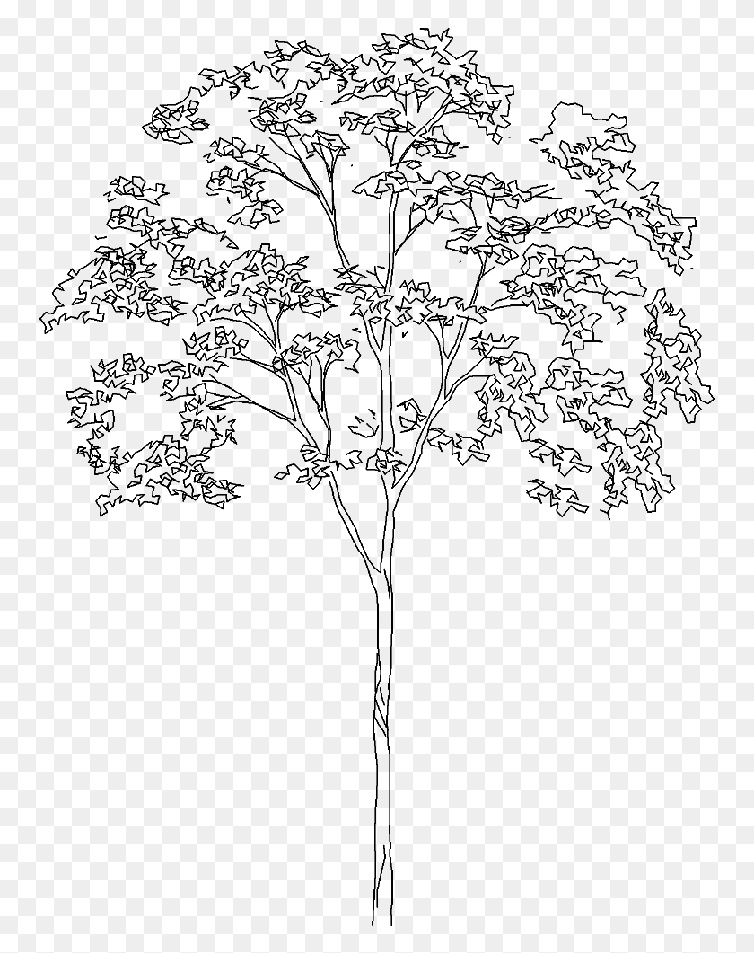 753x1001 Tree Architecture Tree Drawing Architecture Tree Drawing, Gray, World Of Warcraft HD PNG Download