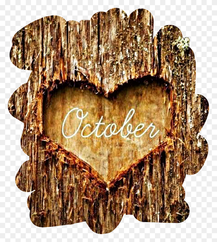 1012x1134 Tree Bark Heart October Autumn Fall Freetoedit Love October, Chandelier, Lamp, Text HD PNG Download