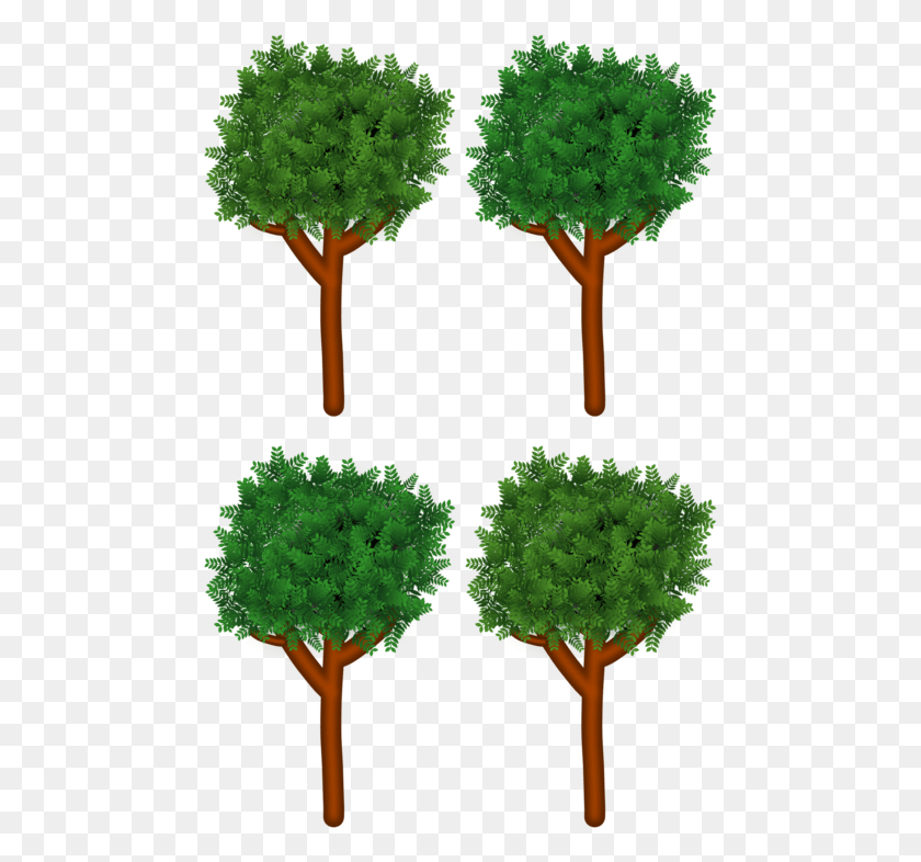 469x726 Tree Branch Shrub Forest Wood Post Oak, Plant, Kale, Cabbage HD PNG Download