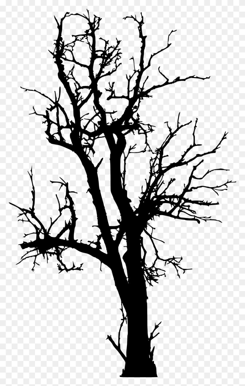 924x1500 Tree Branch Woody Plant Twig Dead Tree Silhouette, Stencil, Tree HD PNG Download