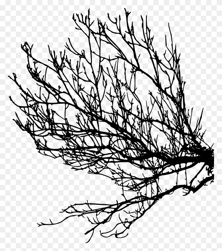 1035x1182 Tree Branches Silhouette Vol Three Branches Silhouette, Plant, Leaf HD PNG Download