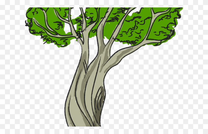 640x480 Tree Bush Cliparts Nature Clipart, Vegetation, Plant, Woodland HD PNG Download