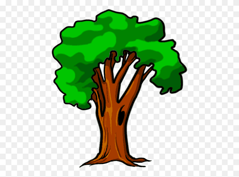 479x562 Tree Cartoon, Graphics, Plant HD PNG Download