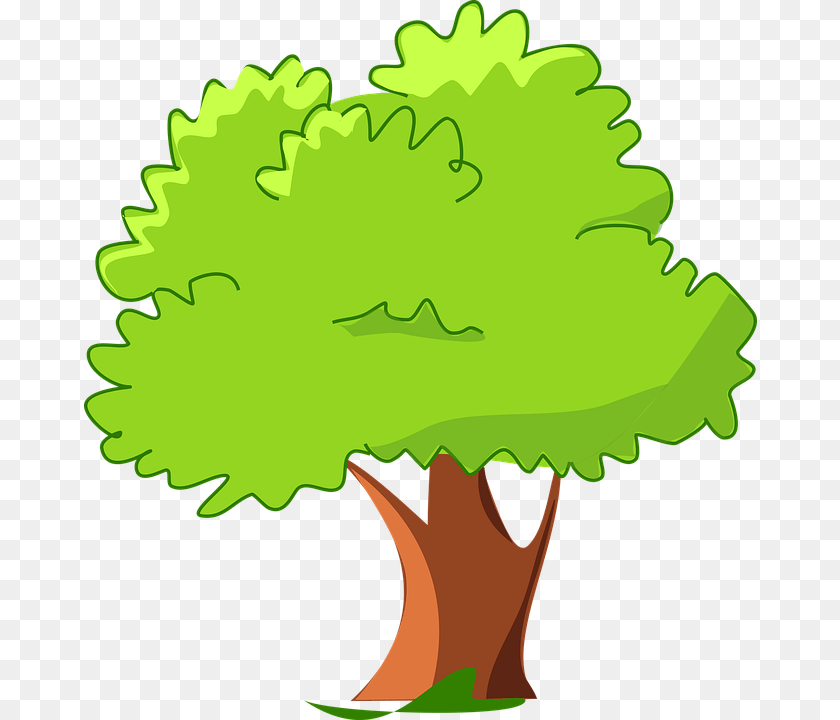 Tree Cartoon Image, Green, Leaf, Potted Plant, Plant PNG