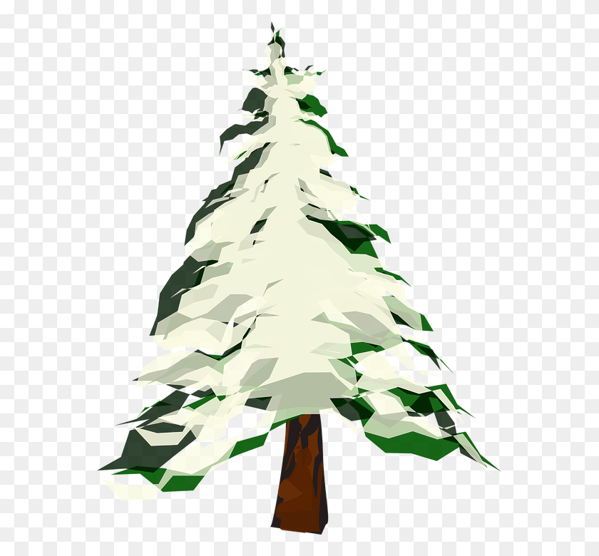 567x720 Tree Christmas Vector, Tree, Plant, Ornament HD PNG Download