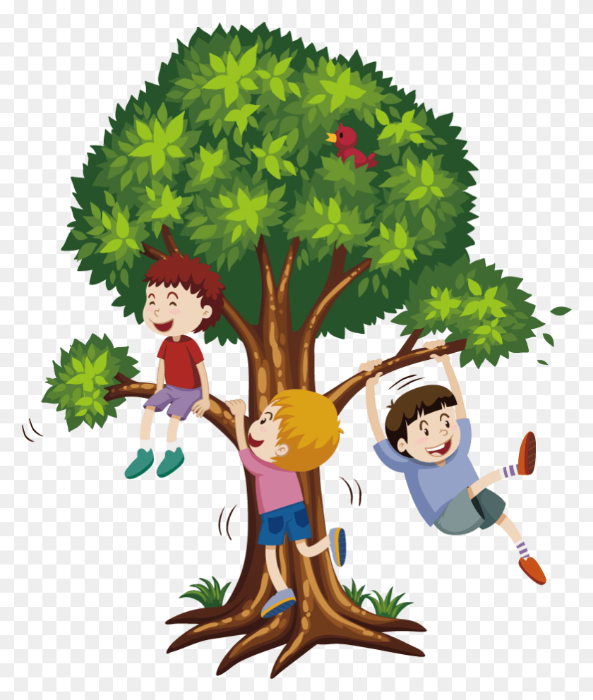 781x934 Tree Climbing Stock Photography Clip Art Cartoon Boy Climbing Tree, Vegetation, Plant, Person HD PNG Download