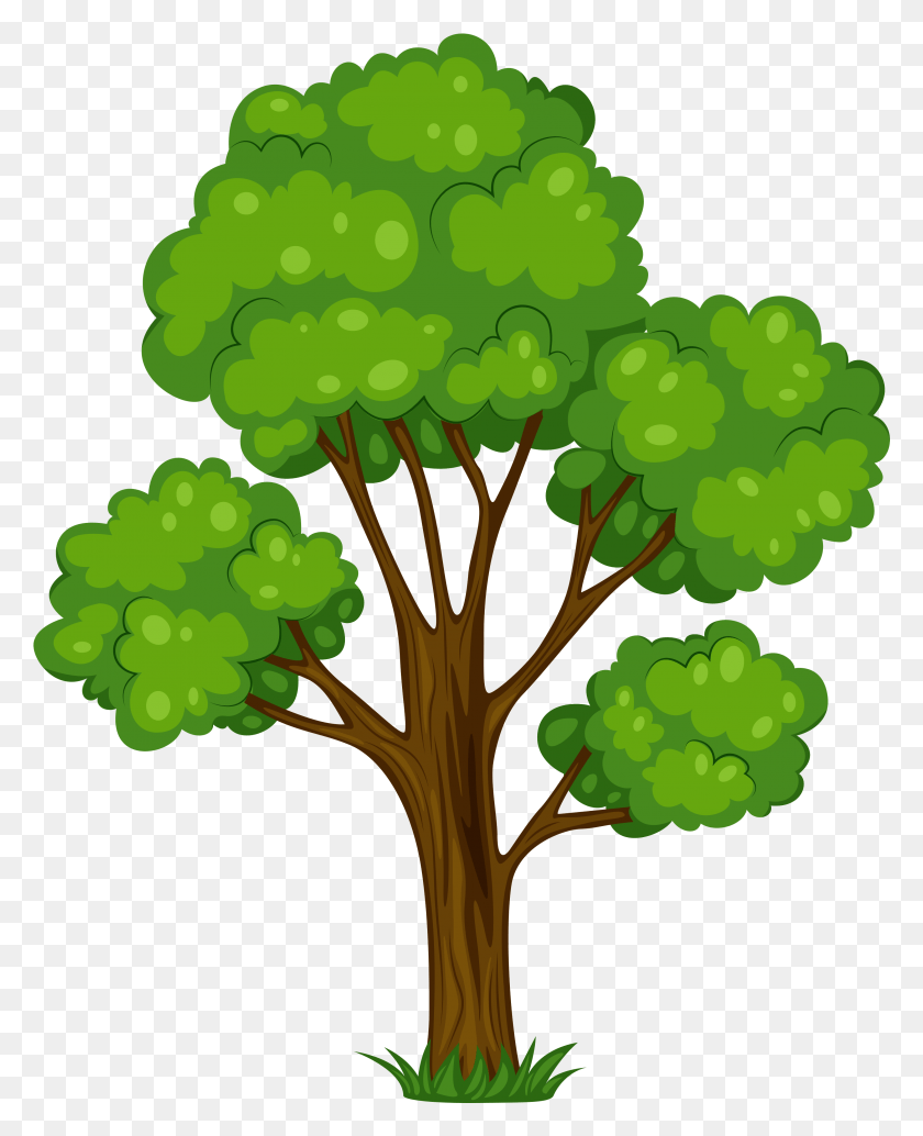 2953x3691 Tree Clip Art Tree Clipart, Plant, Pattern, Grapes HD PNG Download