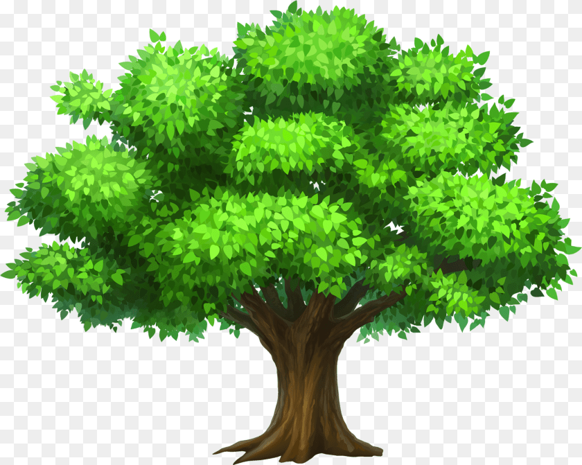 1889x1510 Tree Clipart, Plant, Green, Vegetation, Potted Plant PNG