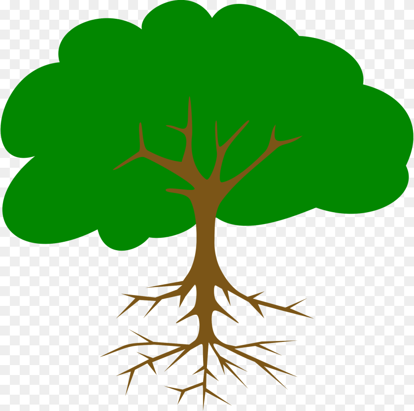 Tree Clipart, Plant, Root, Vegetation Sticker PNG