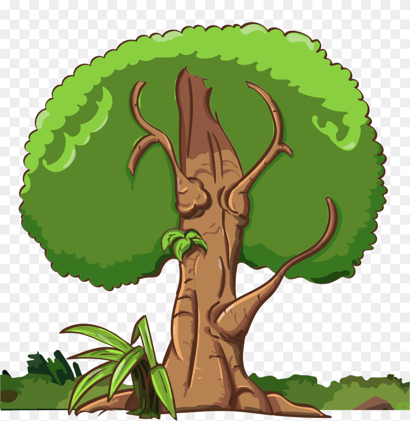 Tree Clipart, Vegetation, Plant, Outdoors, Land Transparent PNG