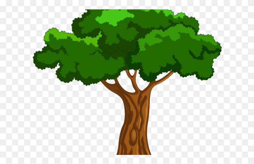 628x481 Tree Clipart Clipart Mango Tree Cartoon Tree, Plant, Vegetation, Tree Trunk HD PNG Download